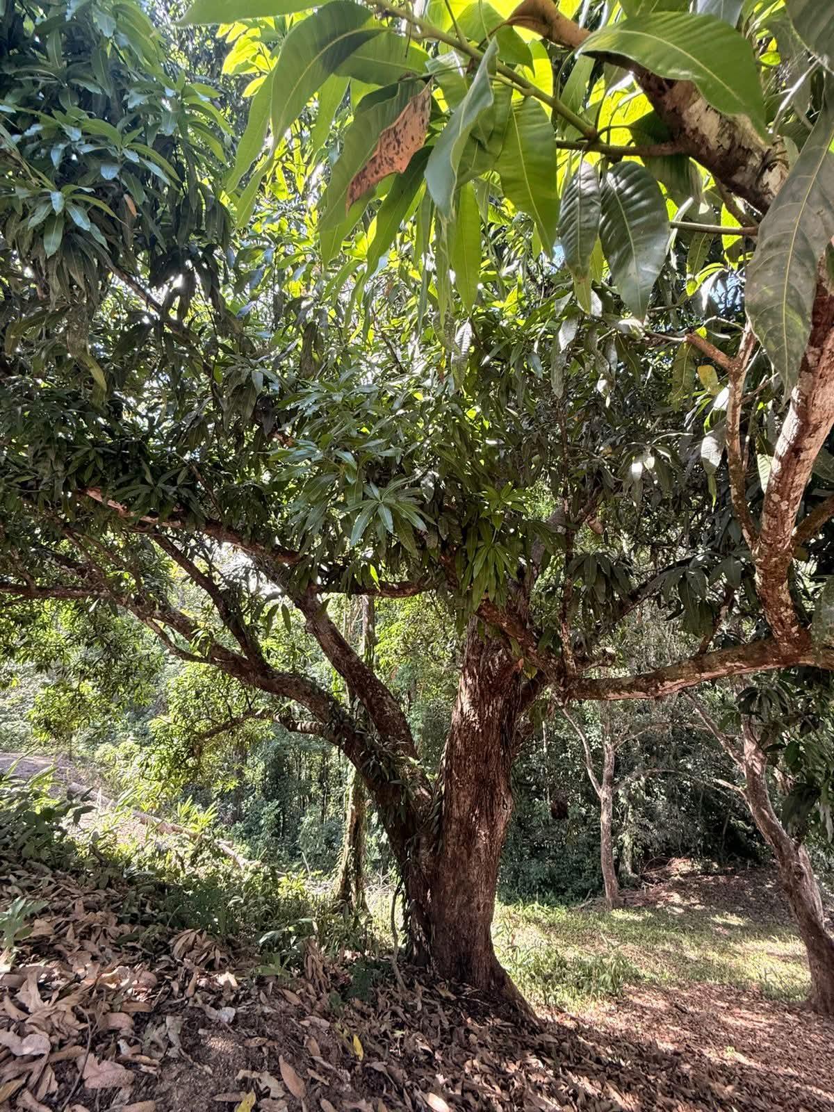 VENTA DE LOTE EN CONDOMINIO EN PUNTA LEONA

Precio: $60.000 
erreno: 360 m²

- Lote listo para construir 
- Disponibilidad de agua y luz
- Uso de suelo residencial 

Código: 1210